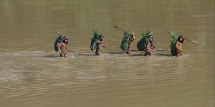 DENUNCIAN LA DESAPARICIÓN DE UN TRABAJADOR MADERERO EN TERRITORIO MASHCO PIRO