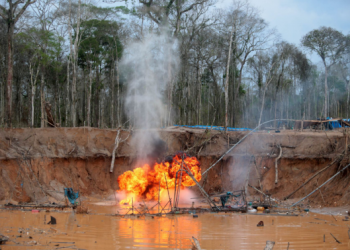 DESTRUYEN MOTORES Y OTROS BIENES POR MÁS DE 2 MILLONES DE SOLES