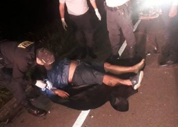 PIERDE LA VIDA TRAS IMPACTAR CONTRA GANADO VACUNO