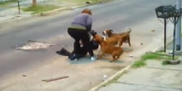 MUJER SUFRE FEROZ ATAQUE DE PERROS