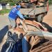 RECOGEN MÁS DE 17 TONELADAS DE RESIDUOS SÓLIDOS EN “LA JOYA”