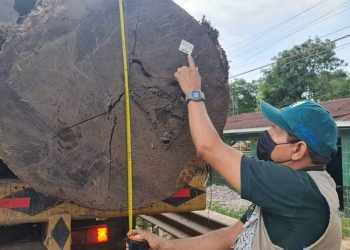 REGIONES AMAZÓNICAS RECIBEN MÁS DE S/ 20 MILLONES  PARA CONSERVACIÓN PRODUCTIVA DE LOS BOSQUES
