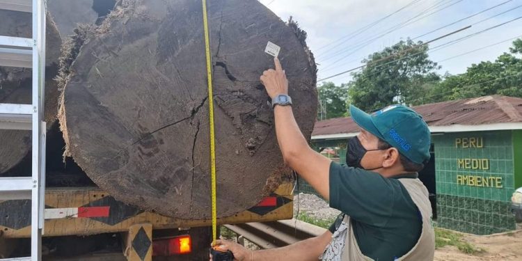 REGIONES AMAZÓNICAS RECIBEN MÁS DE S/ 20 MILLONES PARA CONSERVACIÓN PRODUCTIVA DE LOS BOSQUES