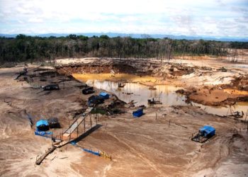 PONEN EN RIESGO LOS BOSQUES E INDIGENAS EN AISLAMIENTO