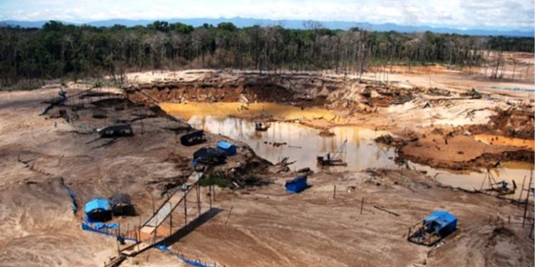 PONEN EN RIESGO LOS BOSQUES E INDIGENAS EN AISLAMIENTO