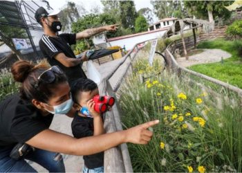 ¡Atención! Este viernes 30 de diciembre será día no laborable para el sector público