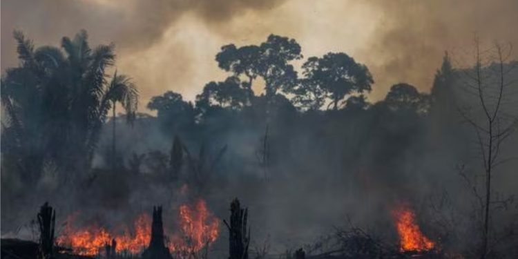 Calentamiento global puede alargar un mes la temporada de grandes incendios en el planeta