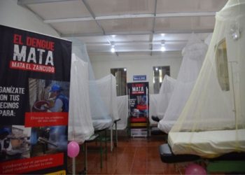 “ESTAMOS BORDEANDO LOS 1000 CASOS DE DENGUE”