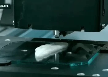 Compañía israelí crea el primer pescado comestible impreso en 3D