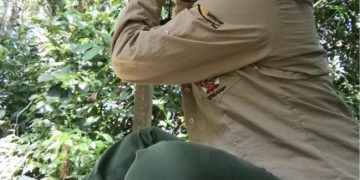 GLOBAL BIG DAY 2023: PERÚ RESALTA COMO EL SEGUNDO DESTINO PARA EL  AVISTAMIENTO DE AVES EN EL MUNDO