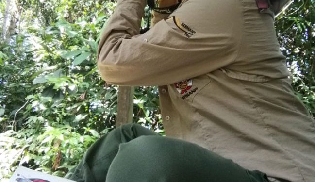 GLOBAL BIG DAY 2023: PERÚ RESALTA COMO EL SEGUNDO DESTINO PARA EL  AVISTAMIENTO DE AVES EN EL MUNDO