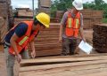 Madre de Dios: Por primera vez cubicadores  de madera obtendrán certificación de  competencia laboral