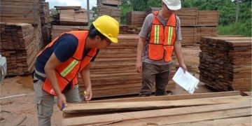 Madre de Dios: Por primera vez cubicadores  de madera obtendrán certificación de  competencia laboral