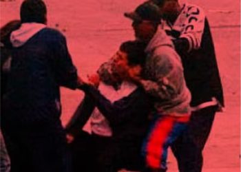 COGOTEROS NO CREEN EN NADIE