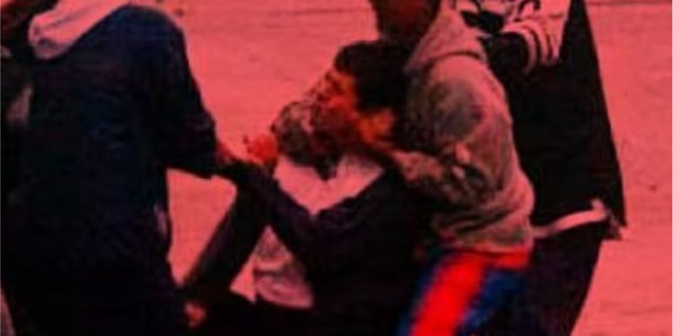 COGOTEROS NO CREEN EN NADIE