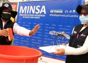 MINSA: CASOS DE DENGUE  DISMINUYEN EN UN 90 %  EN MADRE DE DIOS