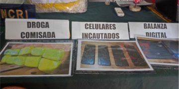 DESARTICULAN BANDA CRIMINAL “LOS PISTEROS  DE MADRE DE DIOS”
