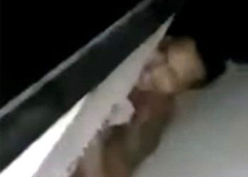 El Dr. Hugo Dueñas Linares, recibió la visita del Dr. Jorge Chávez Salas, Decano de la Facultad de Ciencias Forestales de la Universidad Nacional Agraria la Molina, para sostener una reunión con el Decano encargado de la Facultad de Ecoturismo Dr. Jorge Castillo Hurtado, el Director de la Escuela de Posgrado Dr. Carlo Teófilo Aguilar Pérez y el Director de la Oficina de Cooperación y Relaciones Internacionales Dr. Federico Kuaquira Huallpa y ultimar aspectos para la consolidación y lanzamiento de la Maestría en Ecoturismo, para lo cual próximamente se firmará un convenio específico entre ambas casas de estudio. “La Maestría será presencial y se desarrollará en Madre de Dios; se tiene coordinaciones avanzadas con el Dr. Américo Guevara Pérez Rector de la Universidad Agraria la Molina”, manifestó el Rector de la UNAMAD; el Director de la Escuela de Posgrado informó también sobre los avances de la implementación de esta maestría, la demanda existente en Madre de Dios y en el vecino país de Bolivia. La autoridad universitaria, manifestó que la Maestría en Ecoturismo podría ser lanzada el próximo semestre académico, pues existe la demanda y el staff docente de Lima, Madre de Dios y Brasil; siendo así la Facultad de Ecoturismo la Primera Facultad en consolidar una Maestría Presencial, gracias al empeño de los docentes especialistas de esta Carrera Profesional. Sin embargo, Ecoturismo no es la única carrera pronta para iniciar una maestría, también hay avances y conversaciones con la Facultad de Ciencias Forestales de la Universidad Nacional Agraria La Molina, para el lanzamiento de una Maestría en Gestión de Bosques, situación que hay que consolidar con la Facultad de Ingeniería y la Carrera Profesional de Ingeniería Forestal y Medio Ambiente, considerando que existe la demanda y todos los recursos para hacerla realidad, manifestó la autoridad universitaria.