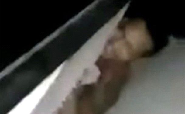 El Dr. Hugo Dueñas Linares, recibió la visita del Dr. Jorge Chávez Salas, Decano de la Facultad de Ciencias Forestales de la Universidad Nacional Agraria la Molina, para sostener una reunión con el Decano encargado de la Facultad de Ecoturismo Dr. Jorge Castillo Hurtado, el Director de la Escuela de Posgrado Dr. Carlo Teófilo Aguilar Pérez y el Director de la Oficina de Cooperación y Relaciones Internacionales Dr. Federico Kuaquira Huallpa y ultimar aspectos para la consolidación y lanzamiento de la Maestría en Ecoturismo, para lo cual próximamente se firmará un convenio específico entre ambas casas de estudio. “La Maestría será presencial y se desarrollará en Madre de Dios; se tiene coordinaciones avanzadas con el Dr. Américo Guevara Pérez Rector de la Universidad Agraria la Molina”, manifestó el Rector de la UNAMAD; el Director de la Escuela de Posgrado informó también sobre los avances de la implementación de esta maestría, la demanda existente en Madre de Dios y en el vecino país de Bolivia. La autoridad universitaria, manifestó que la Maestría en Ecoturismo podría ser lanzada el próximo semestre académico, pues existe la demanda y el staff docente de Lima, Madre de Dios y Brasil; siendo así la Facultad de Ecoturismo la Primera Facultad en consolidar una Maestría Presencial, gracias al empeño de los docentes especialistas de esta Carrera Profesional. Sin embargo, Ecoturismo no es la única carrera pronta para iniciar una maestría, también hay avances y conversaciones con la Facultad de Ciencias Forestales de la Universidad Nacional Agraria La Molina, para el lanzamiento de una Maestría en Gestión de Bosques, situación que hay que consolidar con la Facultad de Ingeniería y la Carrera Profesional de Ingeniería Forestal y Medio Ambiente, considerando que existe la demanda y todos los recursos para hacerla realidad, manifestó la autoridad universitaria.