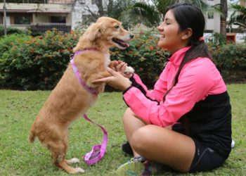 MINSA PUBLICA EL PROYECTO DE REGLAMENTO DE LA LEY  QUE PRIORIZA LA ESTERILIZACIÓN DE PERROS Y GATOS COMO  POLÍTICA NACIONAL DE SALUD PÚBLICA