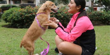 MINSA PUBLICA EL PROYECTO DE REGLAMENTO DE LA LEY  QUE PRIORIZA LA ESTERILIZACIÓN DE PERROS Y GATOS COMO  POLÍTICA NACIONAL DE SALUD PÚBLICA